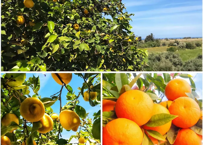 Apartmán Maria's Place Polis