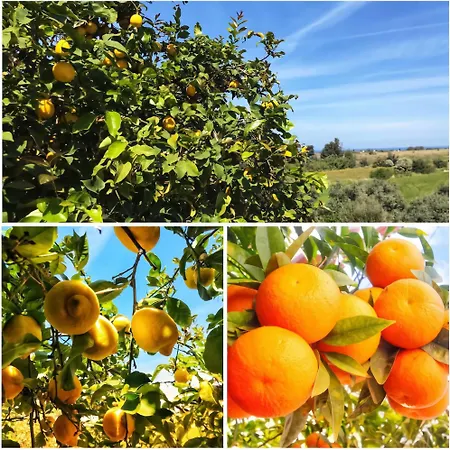 Lejlighed Maria's Place Polis